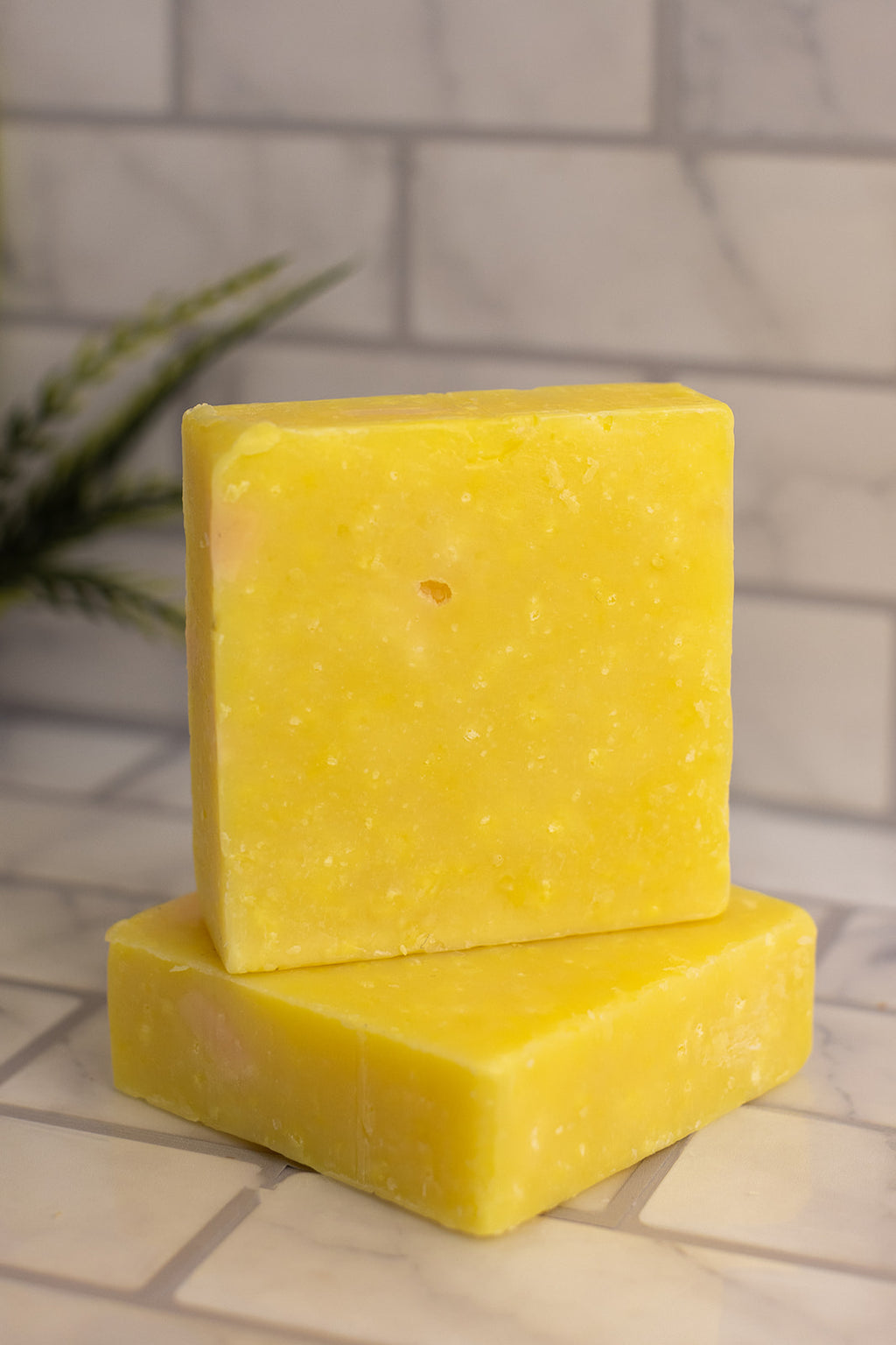 Bromelain Rosehips with Vitamin C Soap Bar